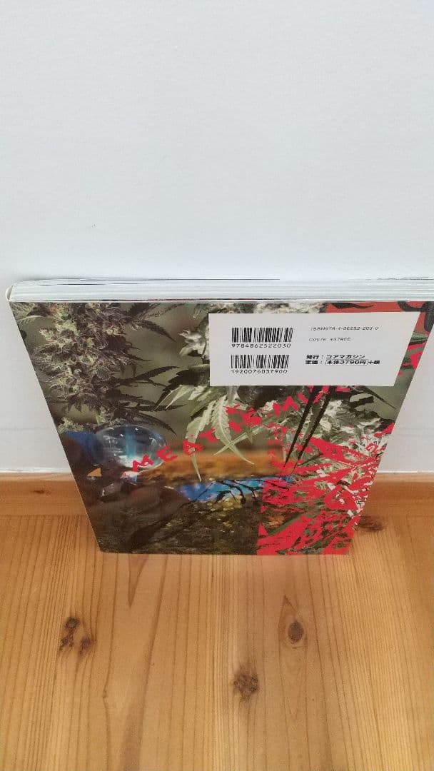 ☆完全保存版　激レア！ BURST HIGH DX バーストハイ　デラックス☆