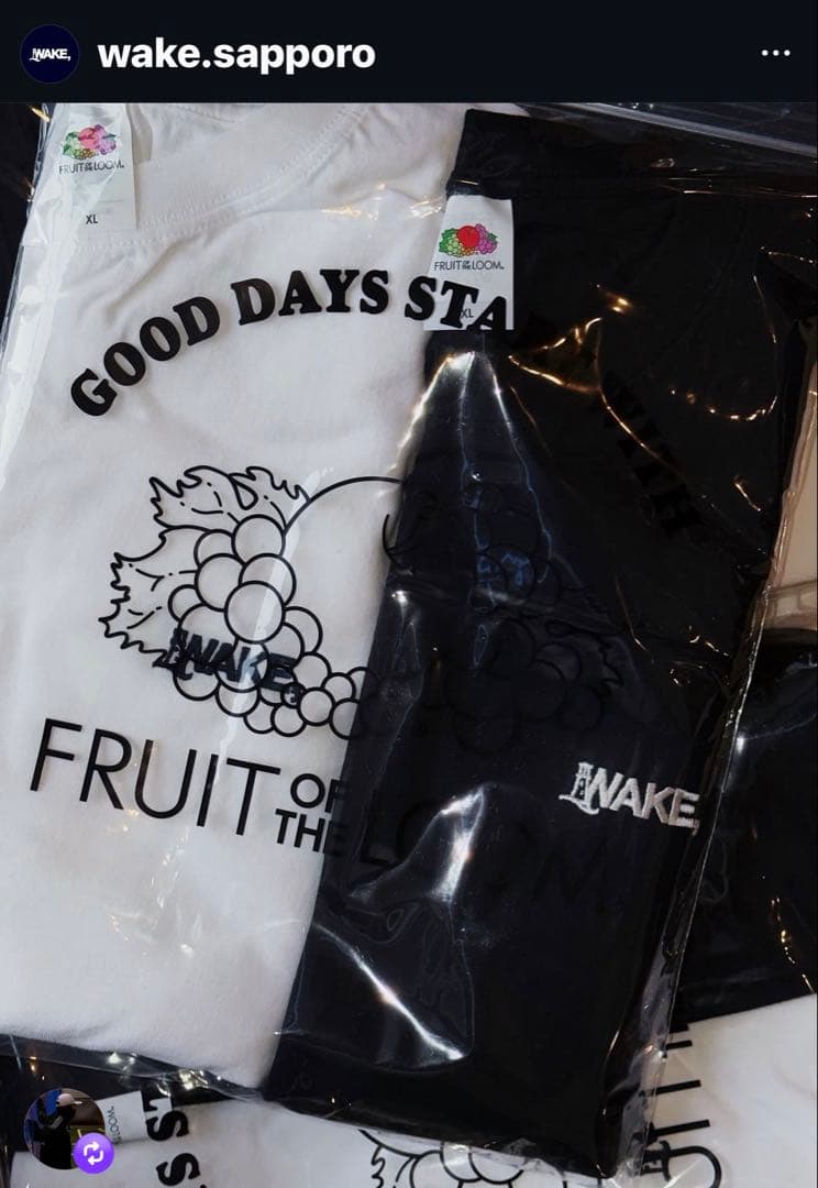 WAKE Sapporo 2P LST FRUIT OF ロンT パック セット