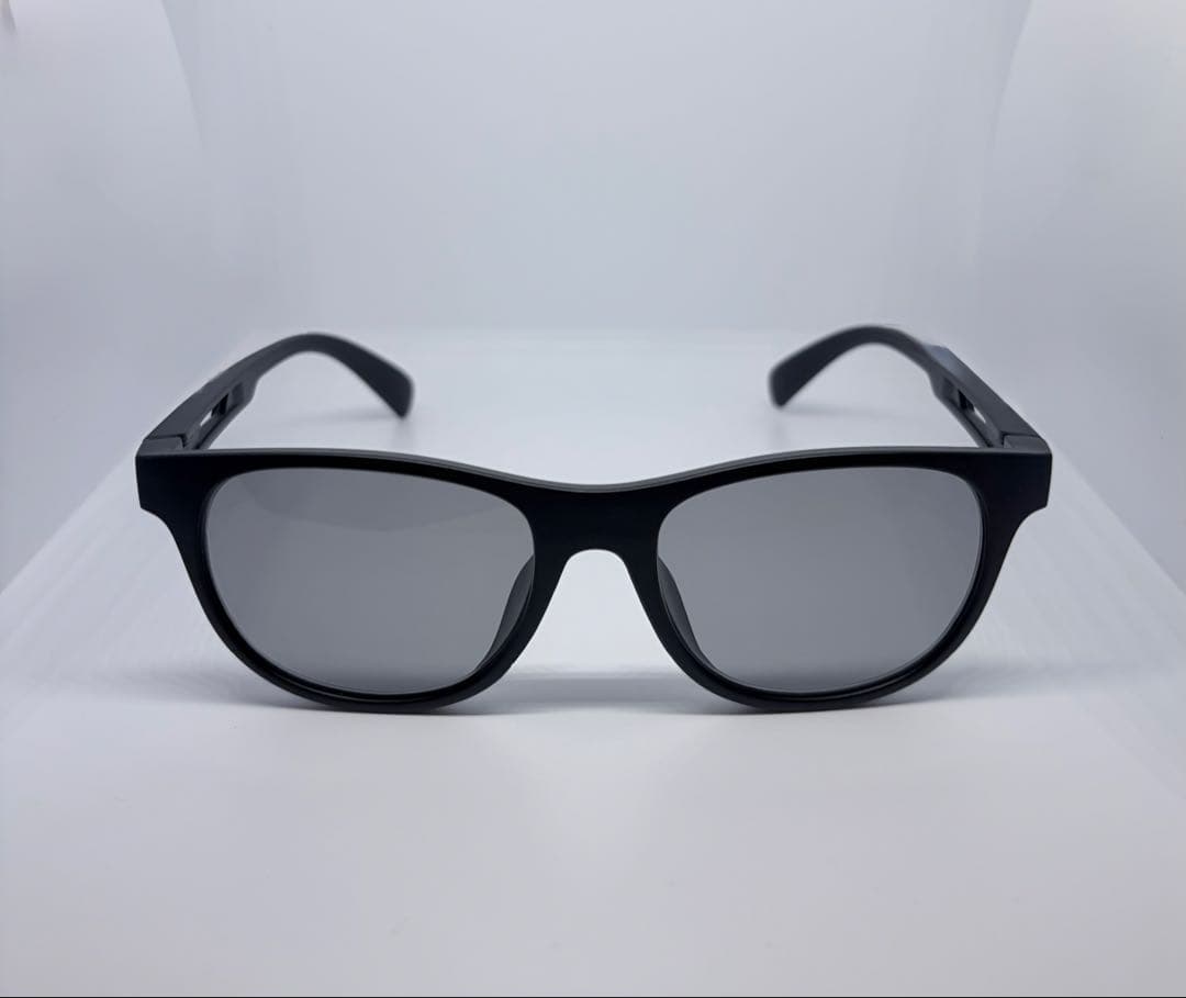 タレックス　トゥルービュー　ノンブランド枠　ウェリントン型　TALEX 偏光SG