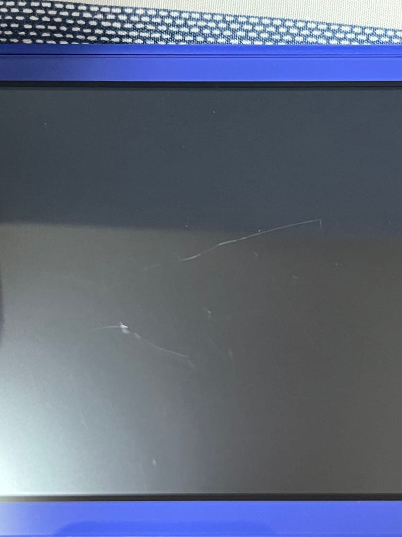 まんぼうページ Nintendo Switch Liteブルー