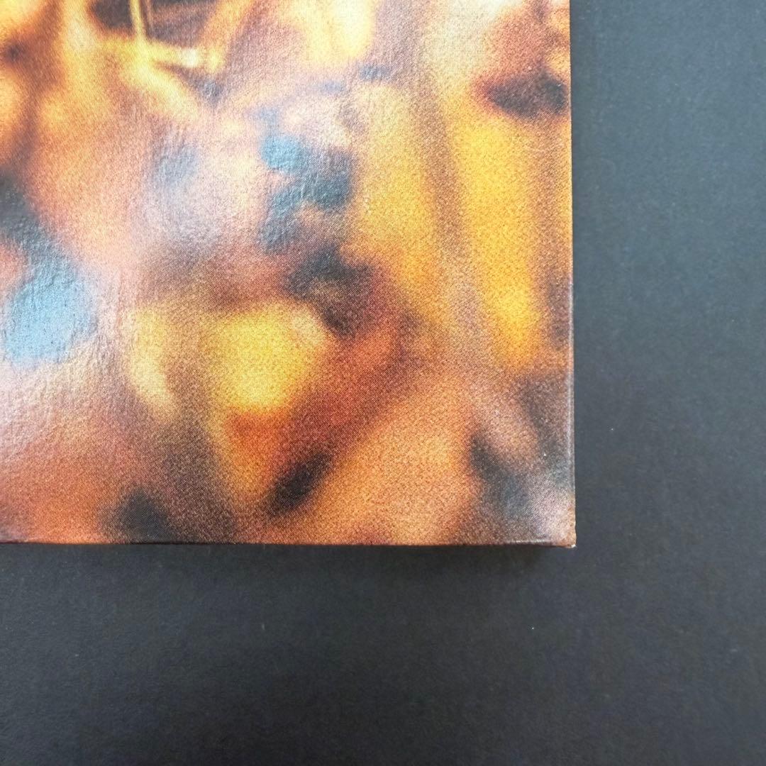 billy woods GOLLIWOG vinyl record ビリーウッズ