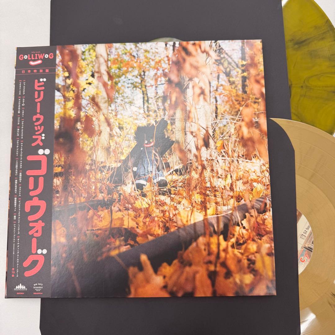 billy woods GOLLIWOG vinyl record ビリーウッズ