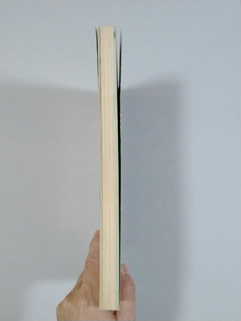 ※希少本 ロッキンｆ別冊 だれにもわかる エフェクター自作&操作術'81