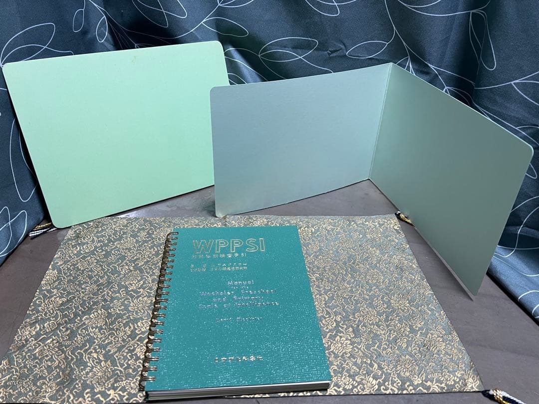 WPPSI知能診断検査キット