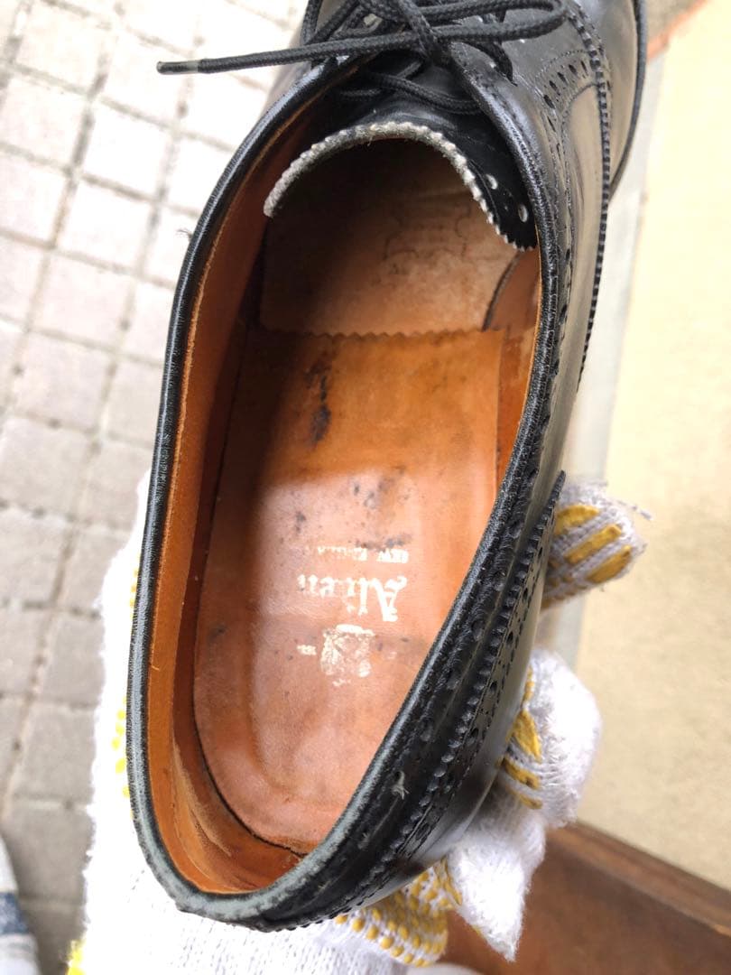 値下げしました。 Alden 909 メダリオンチップ 9半　シューキーパー付