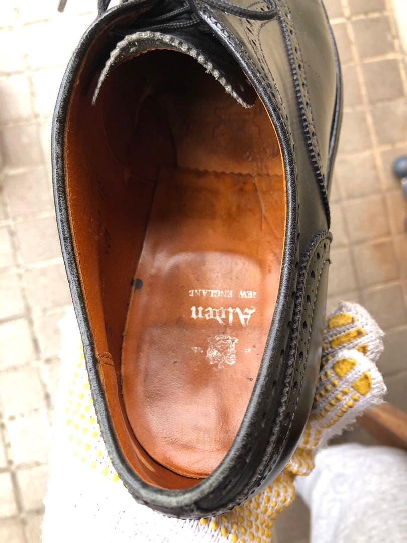 値下げしました。 Alden 909 メダリオンチップ 9半　シューキーパー付