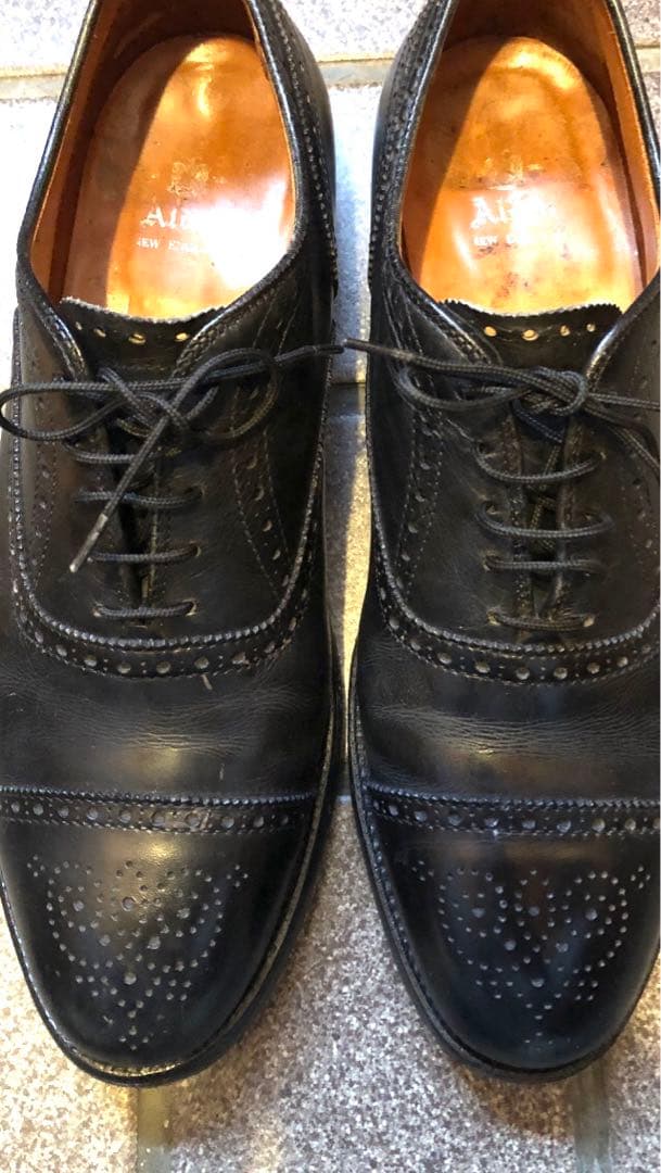 値下げしました。 Alden 909 メダリオンチップ 9半　シューキーパー付