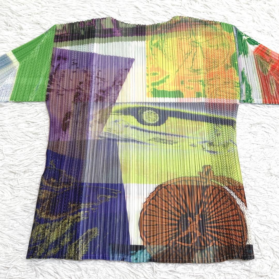 【極美品】プリーツプリーズ トップス L 半袖 グラフィック 転写 マルチカラー