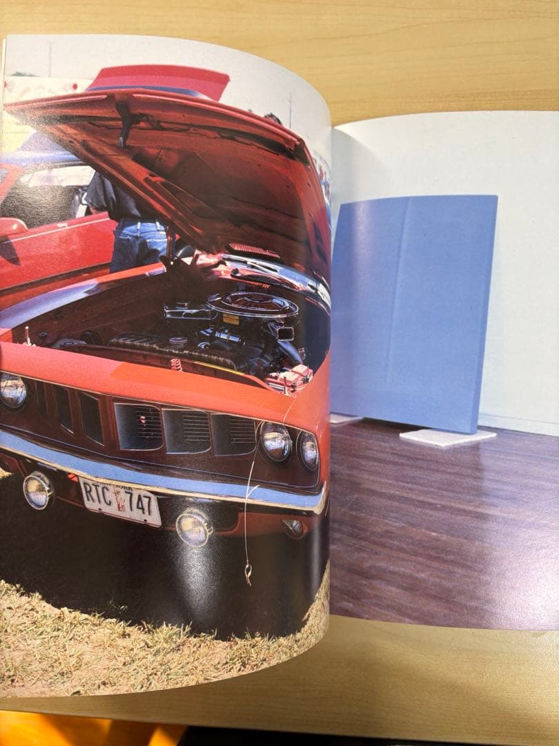 アート・デザイン・音楽 Richard Prince Lisa Phillips