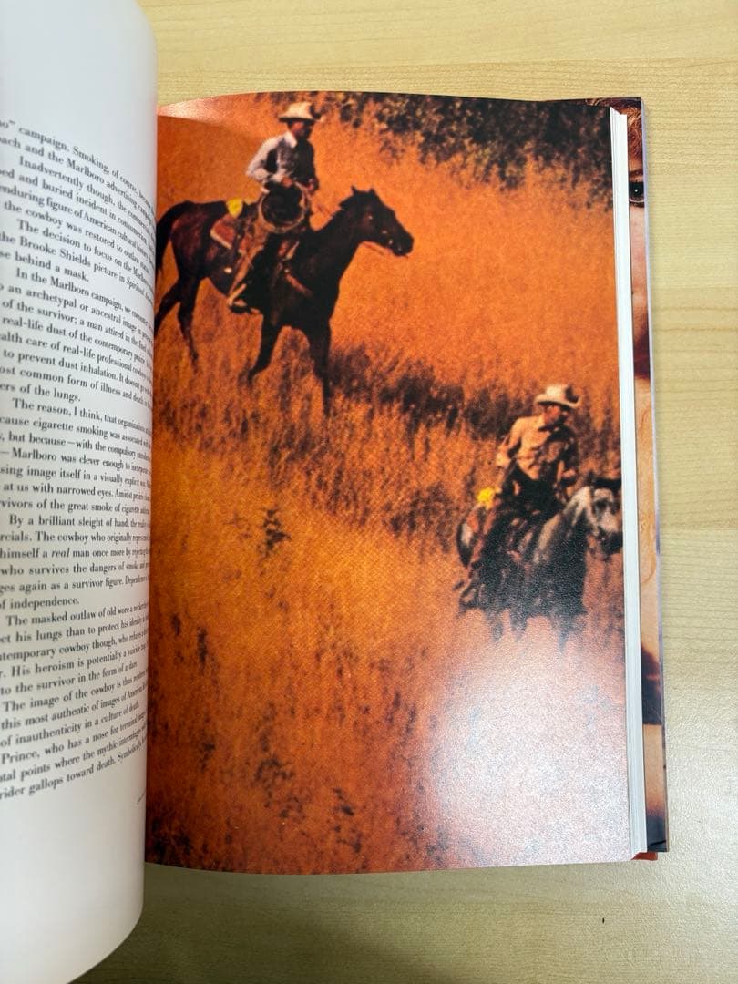 アート・デザイン・音楽 Richard Prince Lisa Phillips