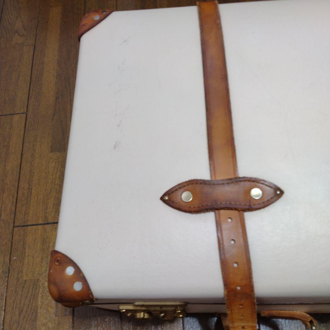 グローブトロッター　サファリ ラージ チェックイン