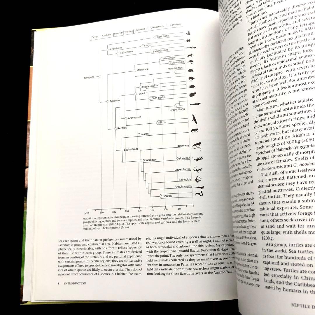 爬虫類の生物多様性 : インベントリーとモニタリングの標準的方法