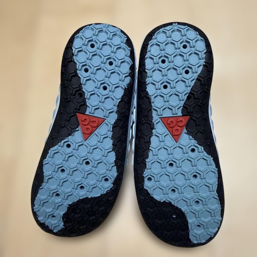 Nike AGC CZ2091-400 サンダル　ウォーターキャット