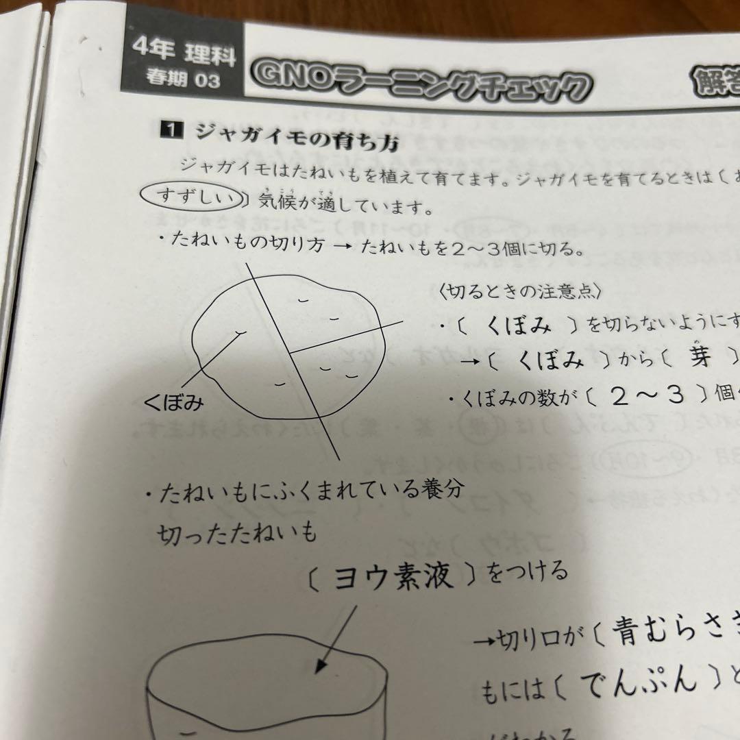 ㉔ A グノーブル　GNOラーニングチェック 理科 4年 季節講習込み一年分
