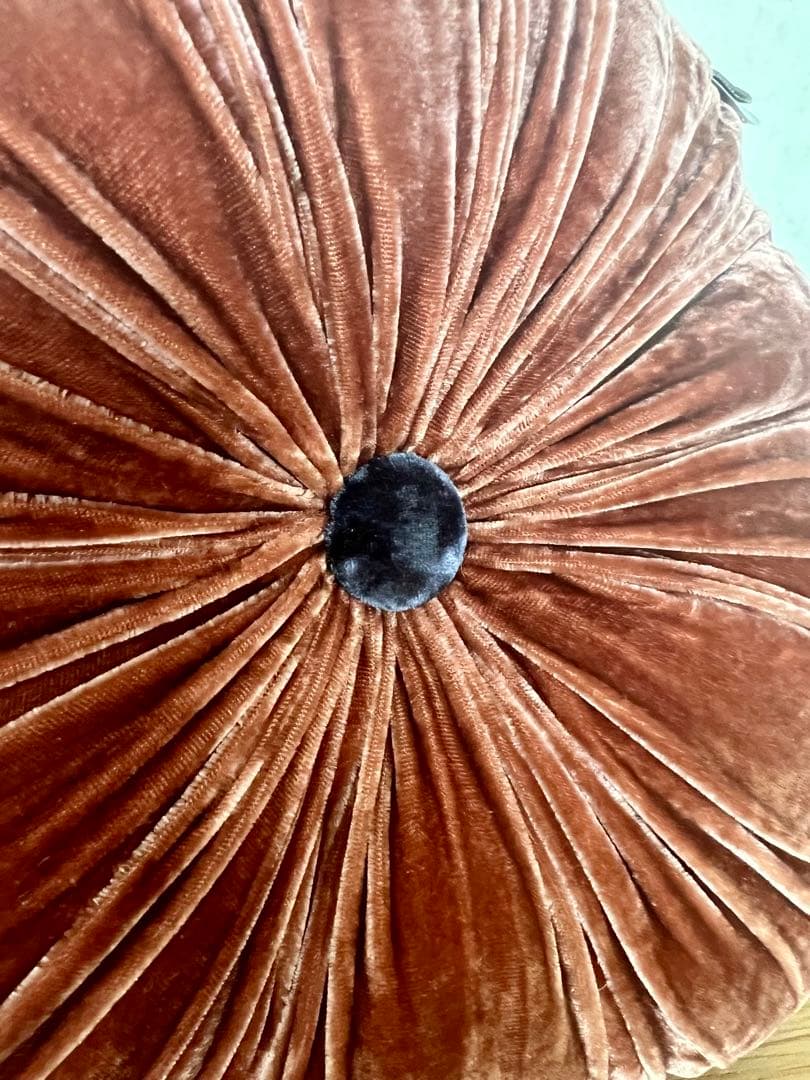 ブランドジュリエ　ベアトリスラヴァル　フランス　クッション　シルク　ブラウン