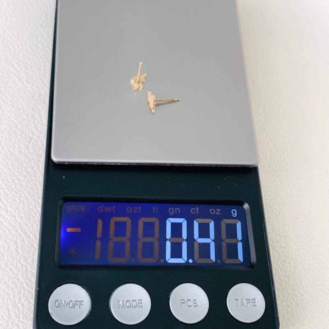 希少 ブルーム k10 ピアス 恐竜 怪獣 gold ステゴザウルス ゴールド