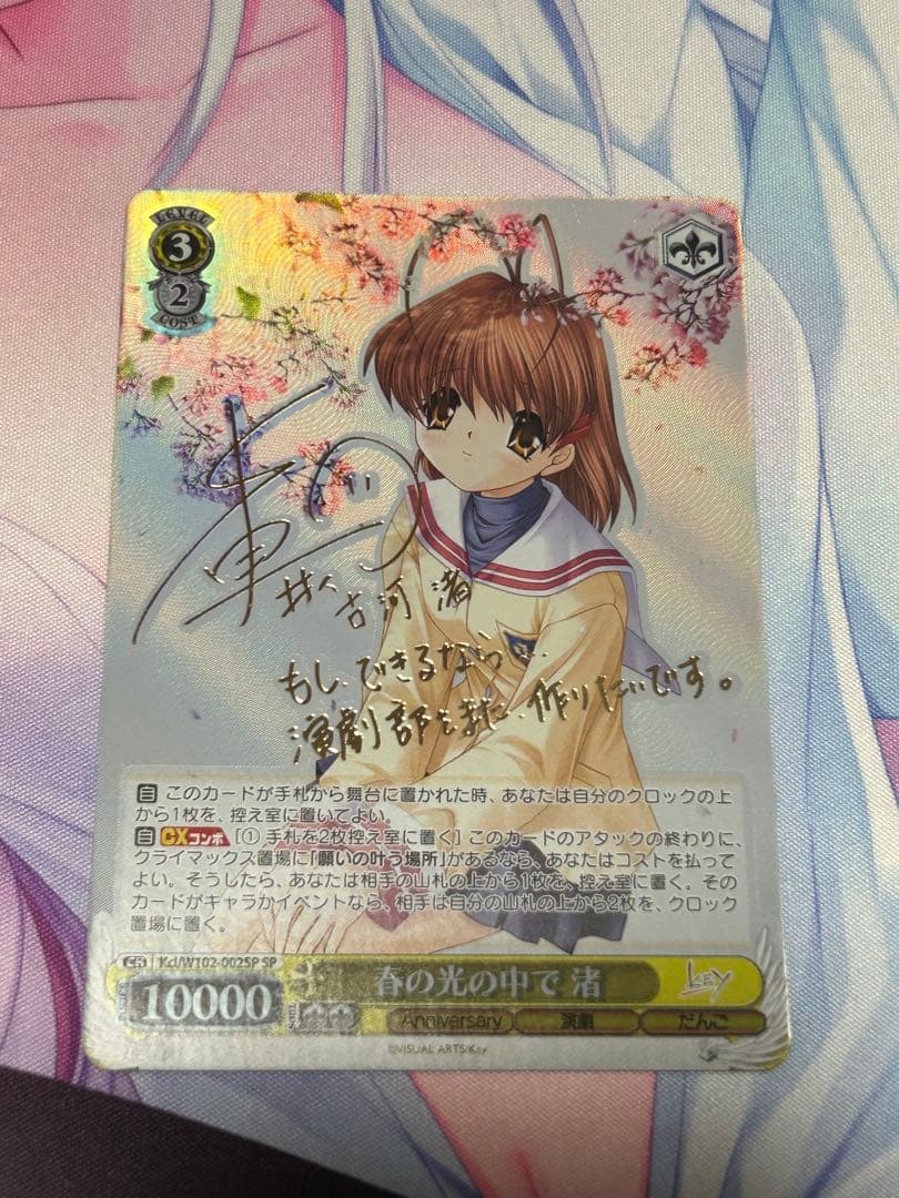 ヴァイス 春の光の中で 渚 SP