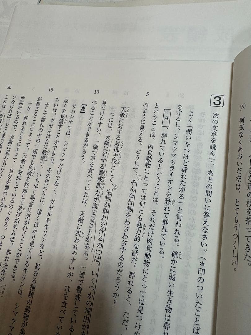 原本 サピックス 4年 テスト まとめ売り