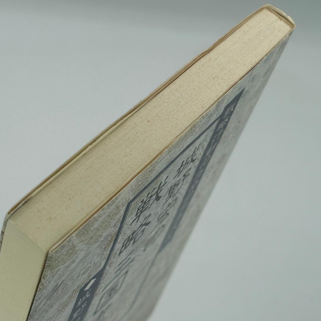 城野宏の戦略三国志 戦略行動のためのテキスト 下