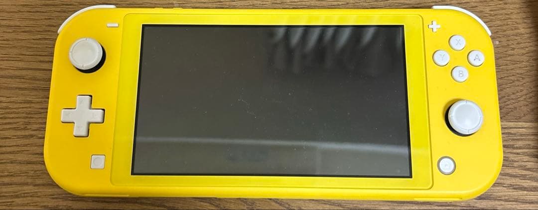 ニンテンドースイッチ ライト 本体 充電器付き