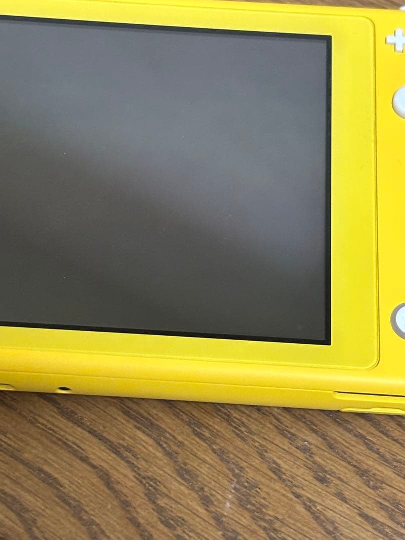 ニンテンドースイッチ ライト 本体 充電器付き