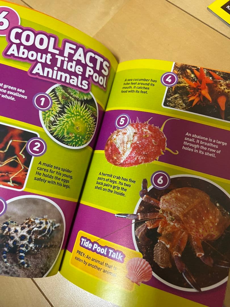 deinenschatzページ★3点