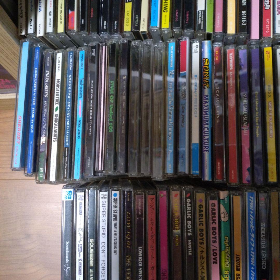 NOFX CD　邦ロック　洋ロック