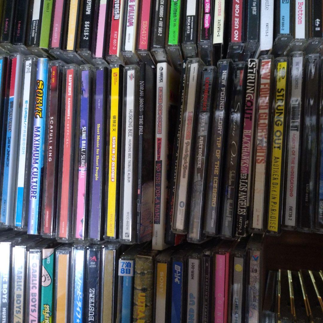 NOFX CD　邦ロック　洋ロック