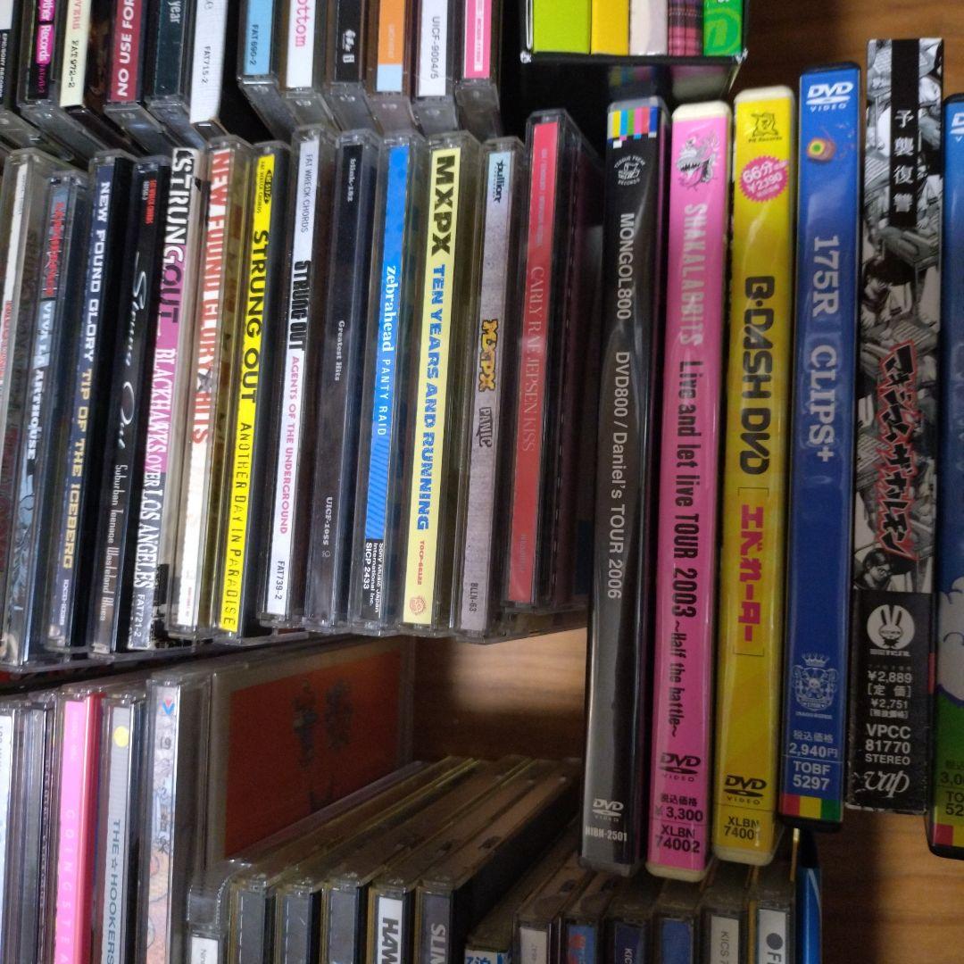 NOFX CD　邦ロック　洋ロック