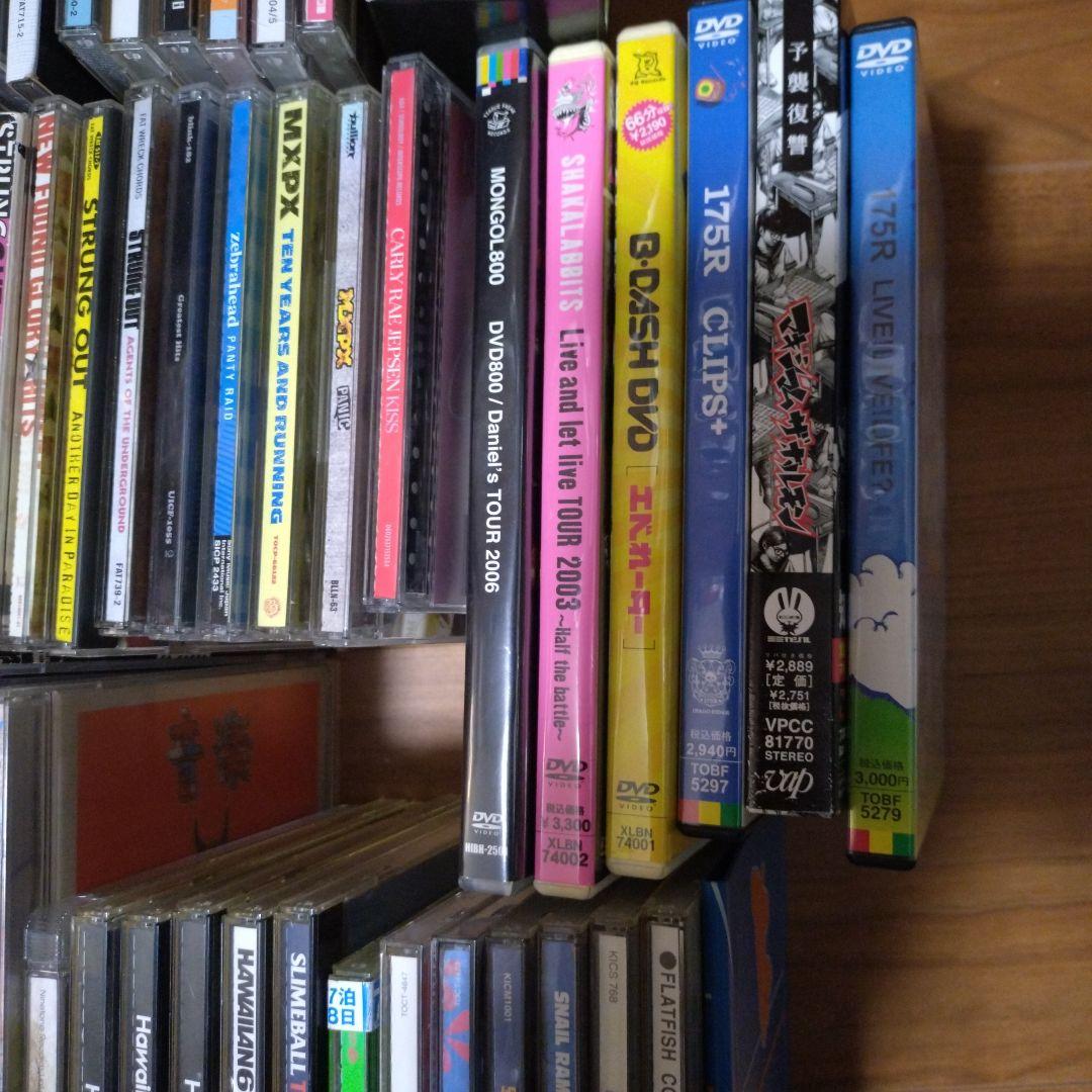 NOFX CD　邦ロック　洋ロック