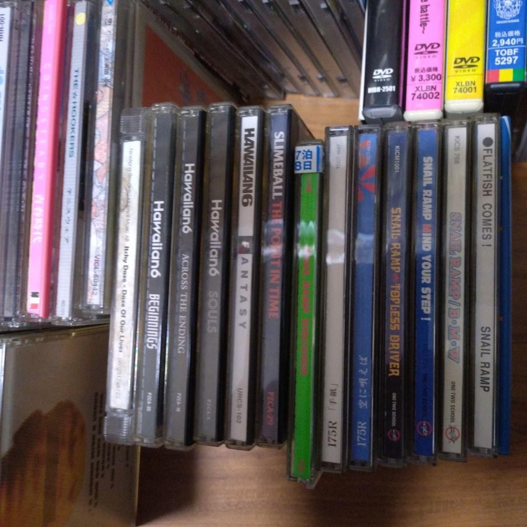 NOFX CD　邦ロック　洋ロック