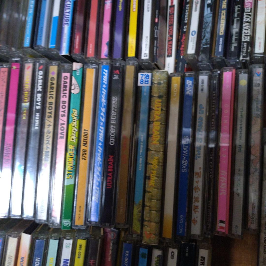 NOFX CD　邦ロック　洋ロック