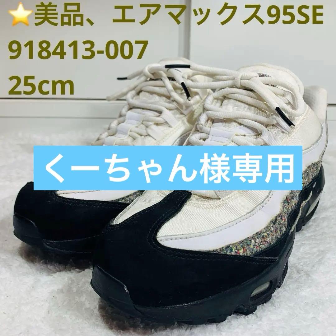 ⭐️美品、エアマックス95SE 918413-007、25cm