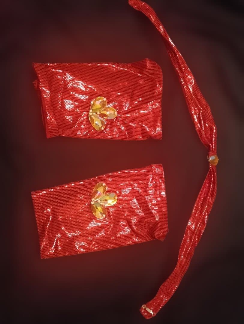 【新品Sale】エジプト製デザイナーズベリーダンス衣装セットメタリック赤