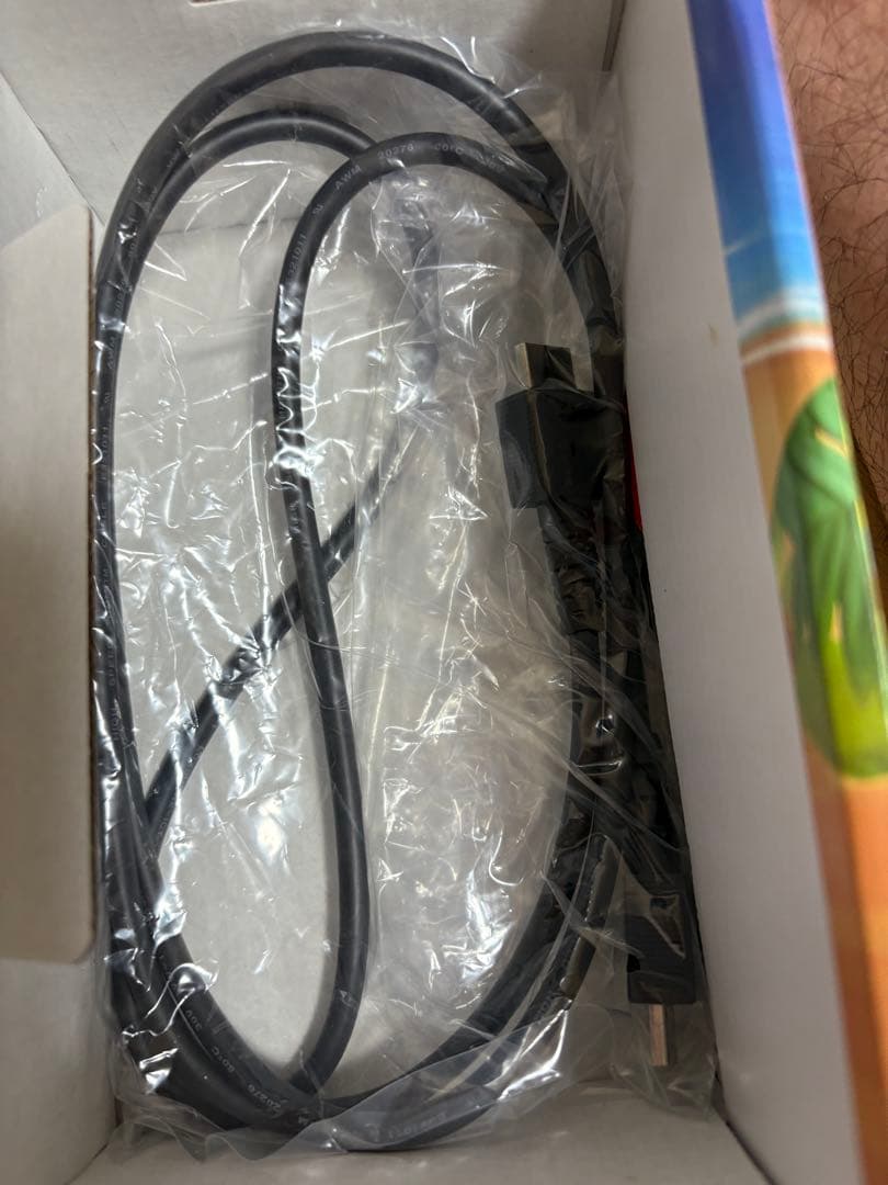 あつまれ どうぶつの森 Nintendo Switch 本体　中古　動作確認済