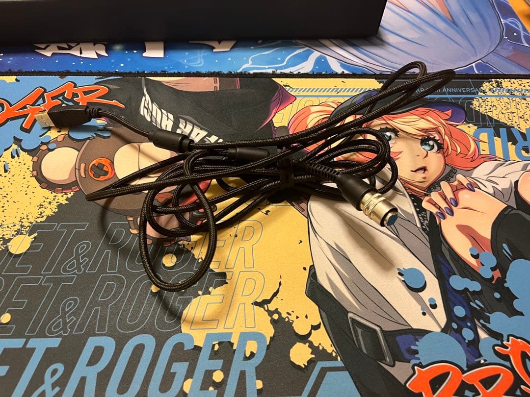 hit box 本体とケーブル