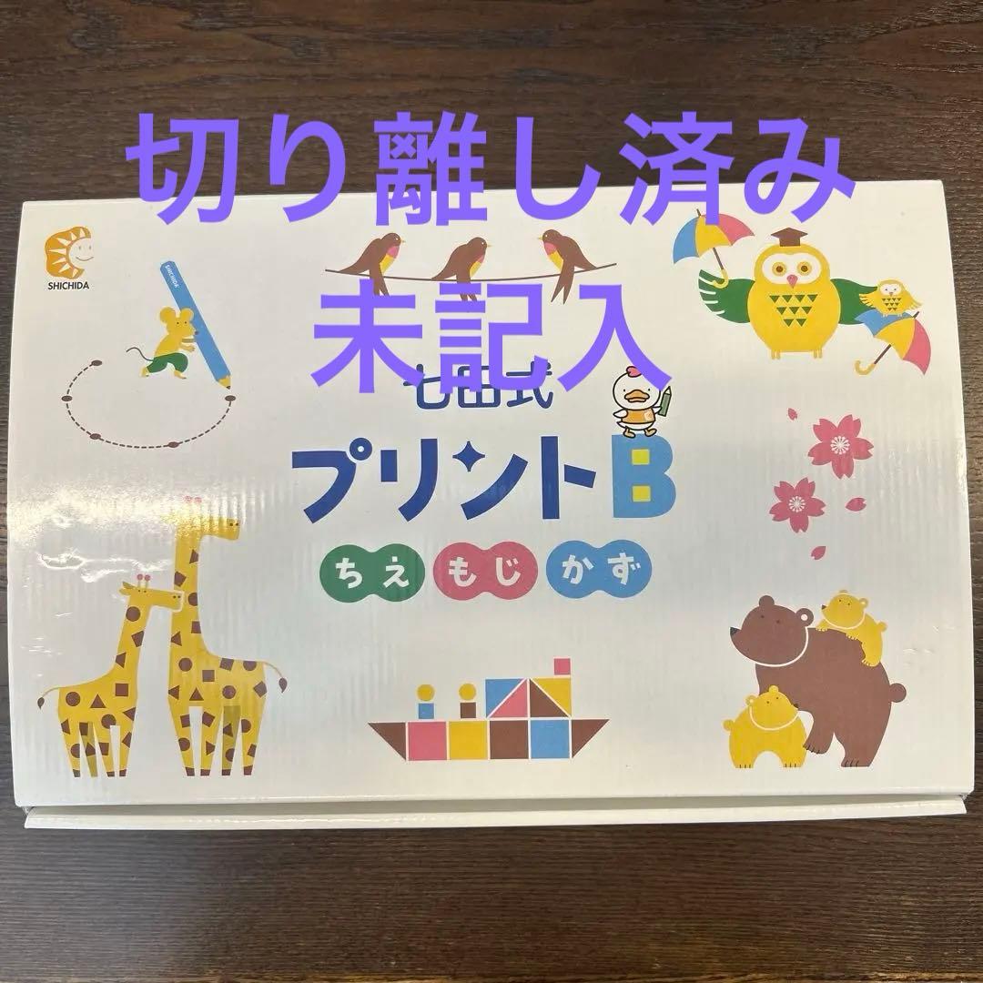 七田式 プリントB 未記入 切り離し済み