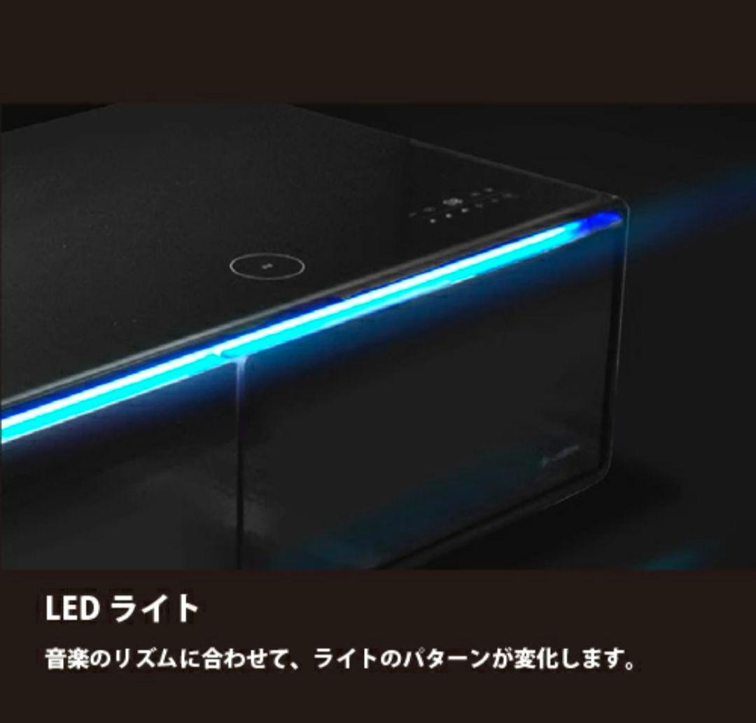 専用出品となります ご了承下さい