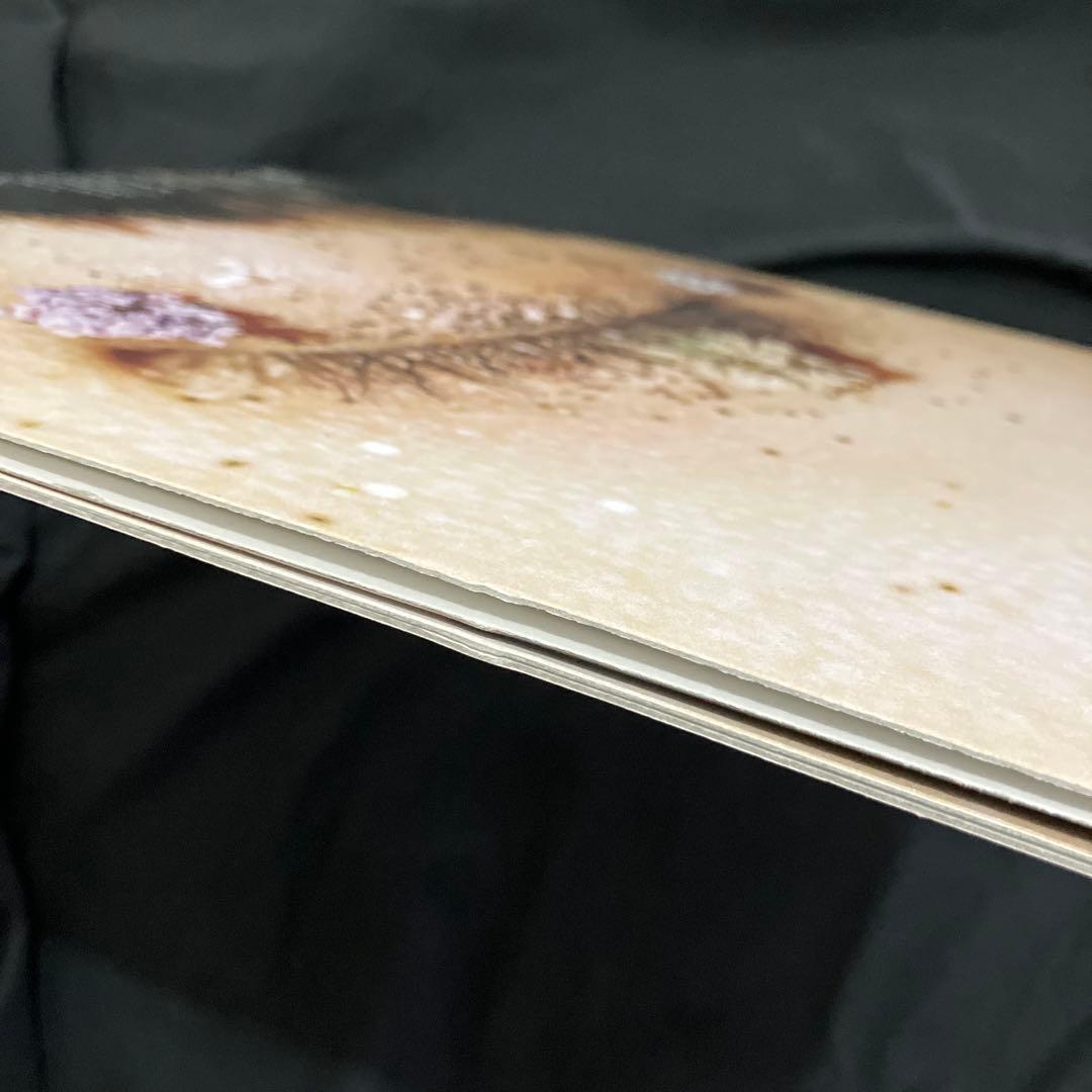 カネコアヤノ　祝祭　LP レコード　黒盤