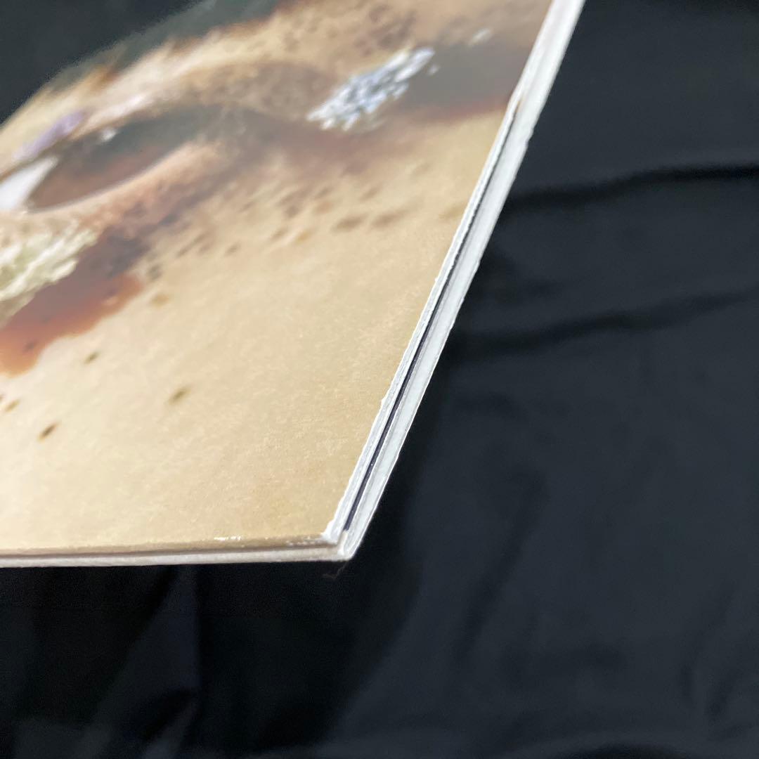 カネコアヤノ　祝祭　LP レコード　黒盤