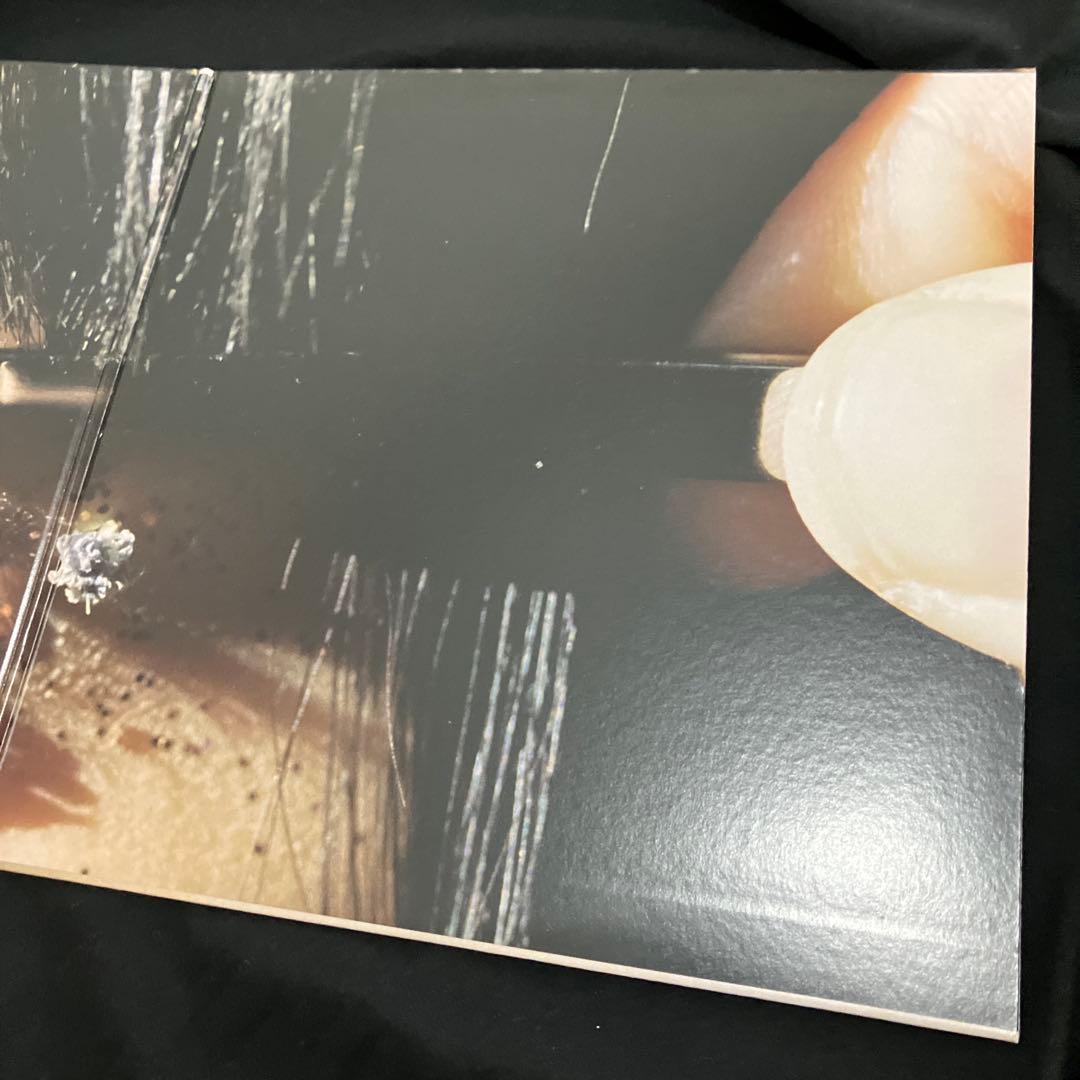 カネコアヤノ　祝祭　LP レコード　黒盤