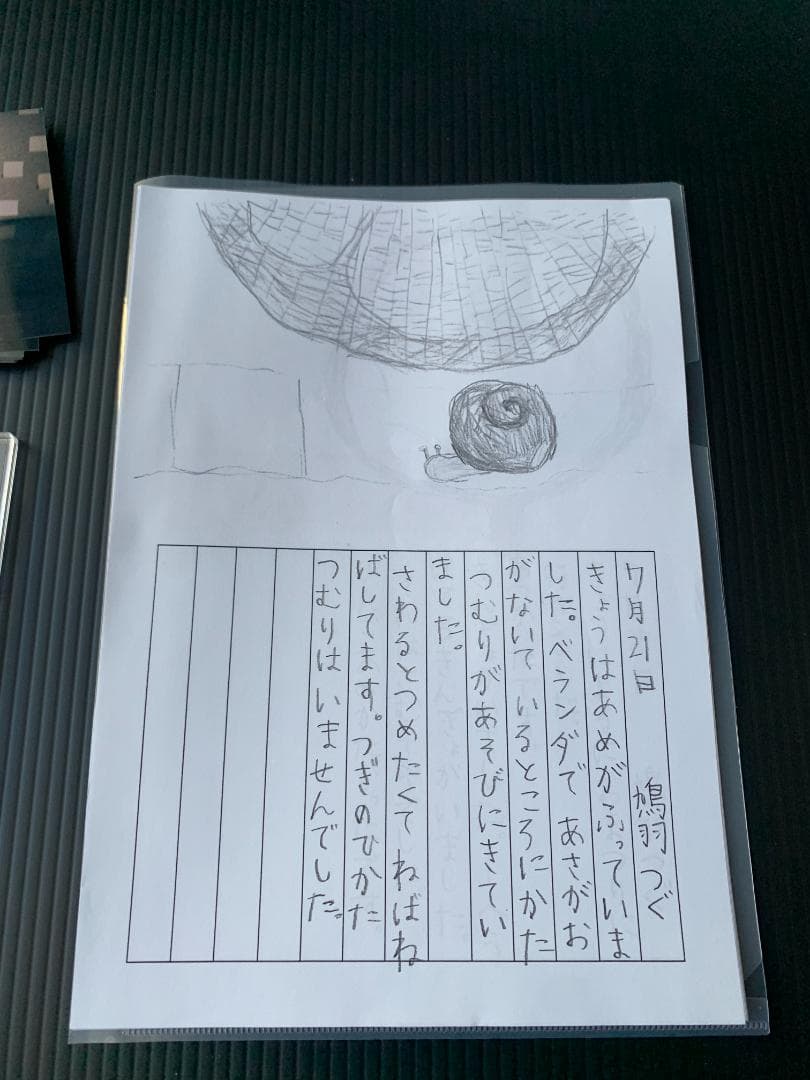 鳩羽つぐ 夏休み クラウドファンディング 返礼品