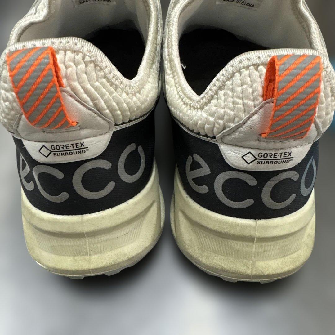 eccoバイオム C4 BOA ゴルフGORE-TEX130424