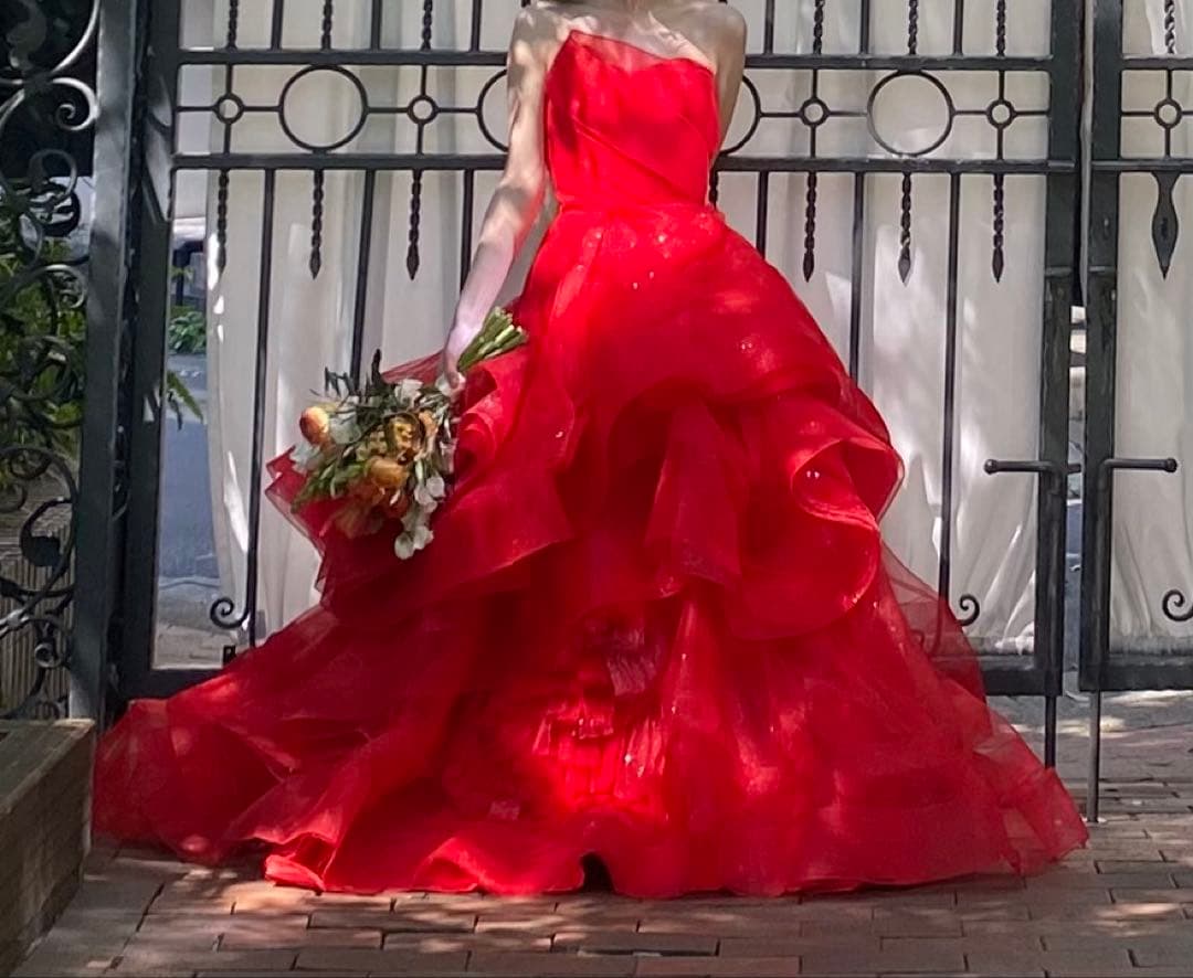 【引っ越しで2月末廃棄予定】verawang キャサリン風ドレス　カラードレス赤