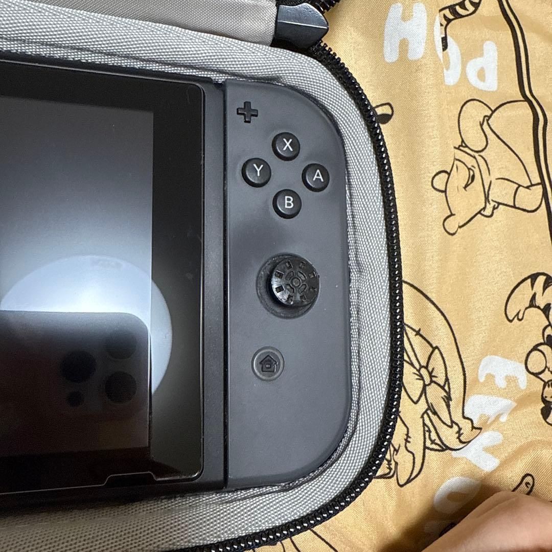 Nintendo Switch Lite グレー キャリングケース付き