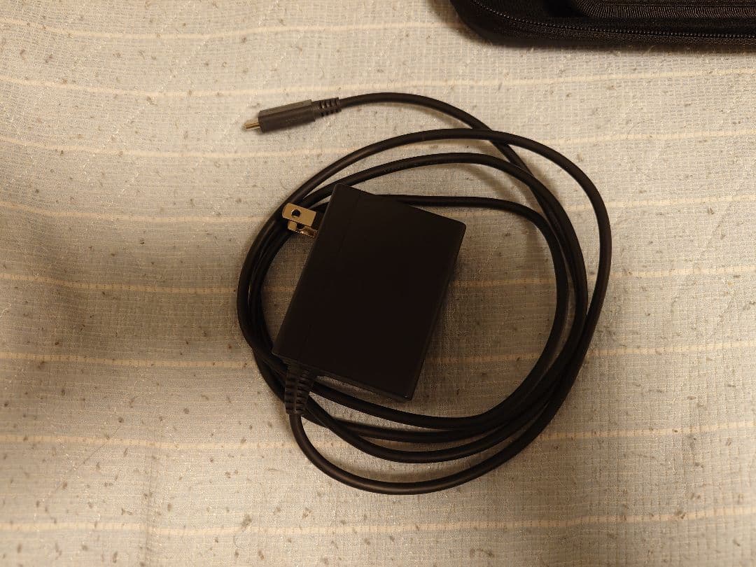 Nintendo Switch Lite グレー 専用ケース付き(修理済み品)