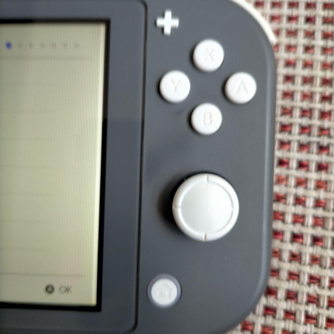 合馬Nintendo Switch Lite グレー 本体のみ ジャンク