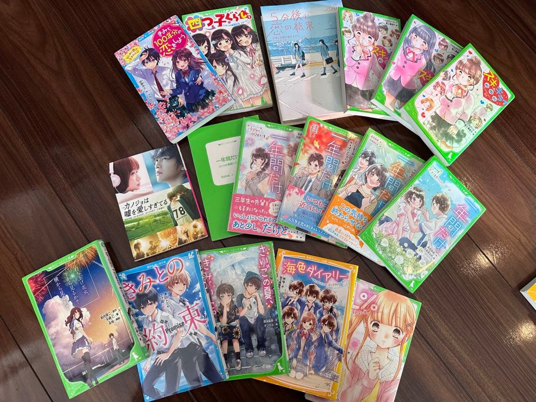 恋愛小説 セット 小中学生向け17冊セット