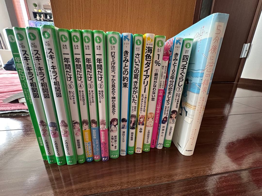 恋愛小説 セット 小中学生向け17冊セット