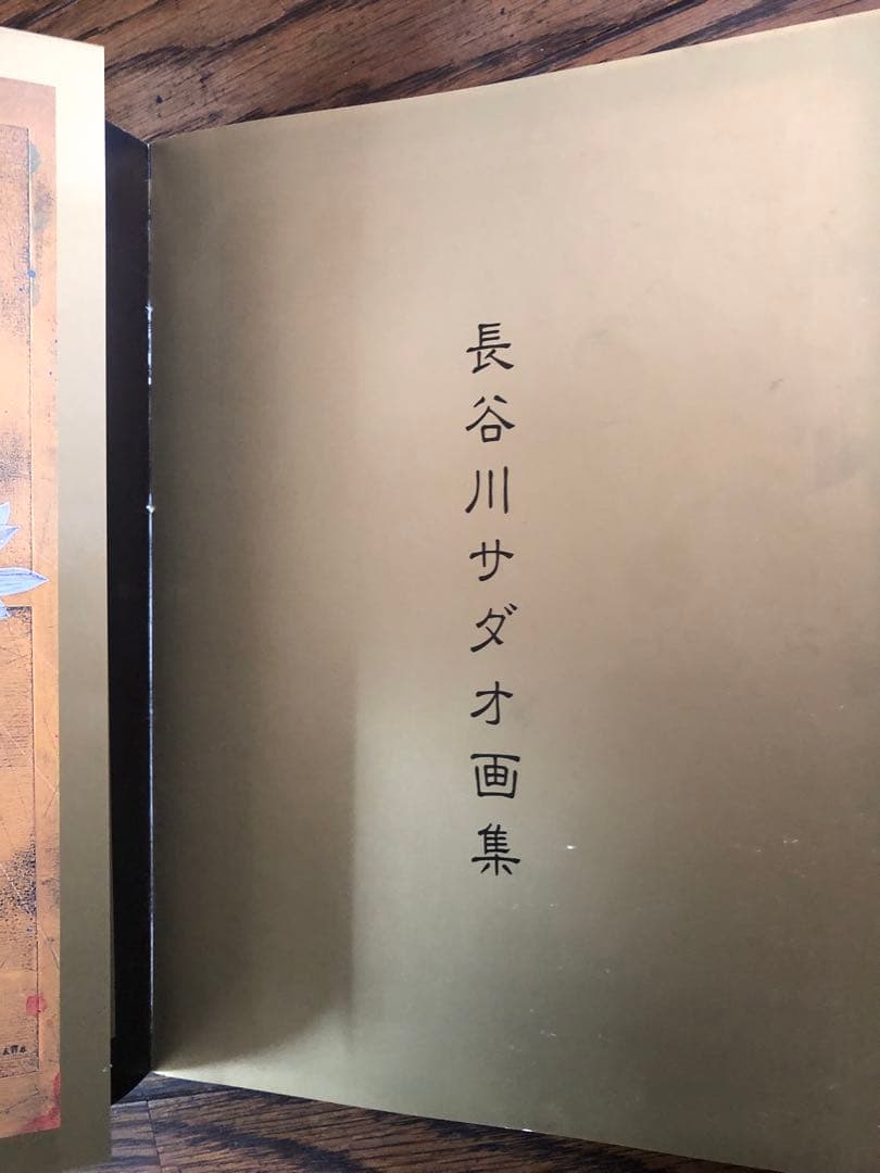 B*)様 長谷川サダオ　画集 楽園幻視　Sadao Hasegawa